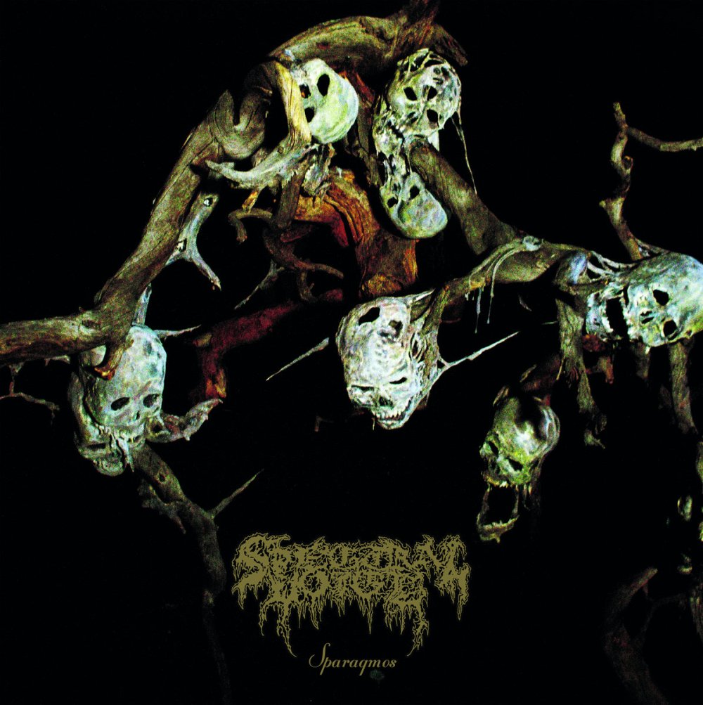 Weekly rundown February 09 –&nbsp;2024