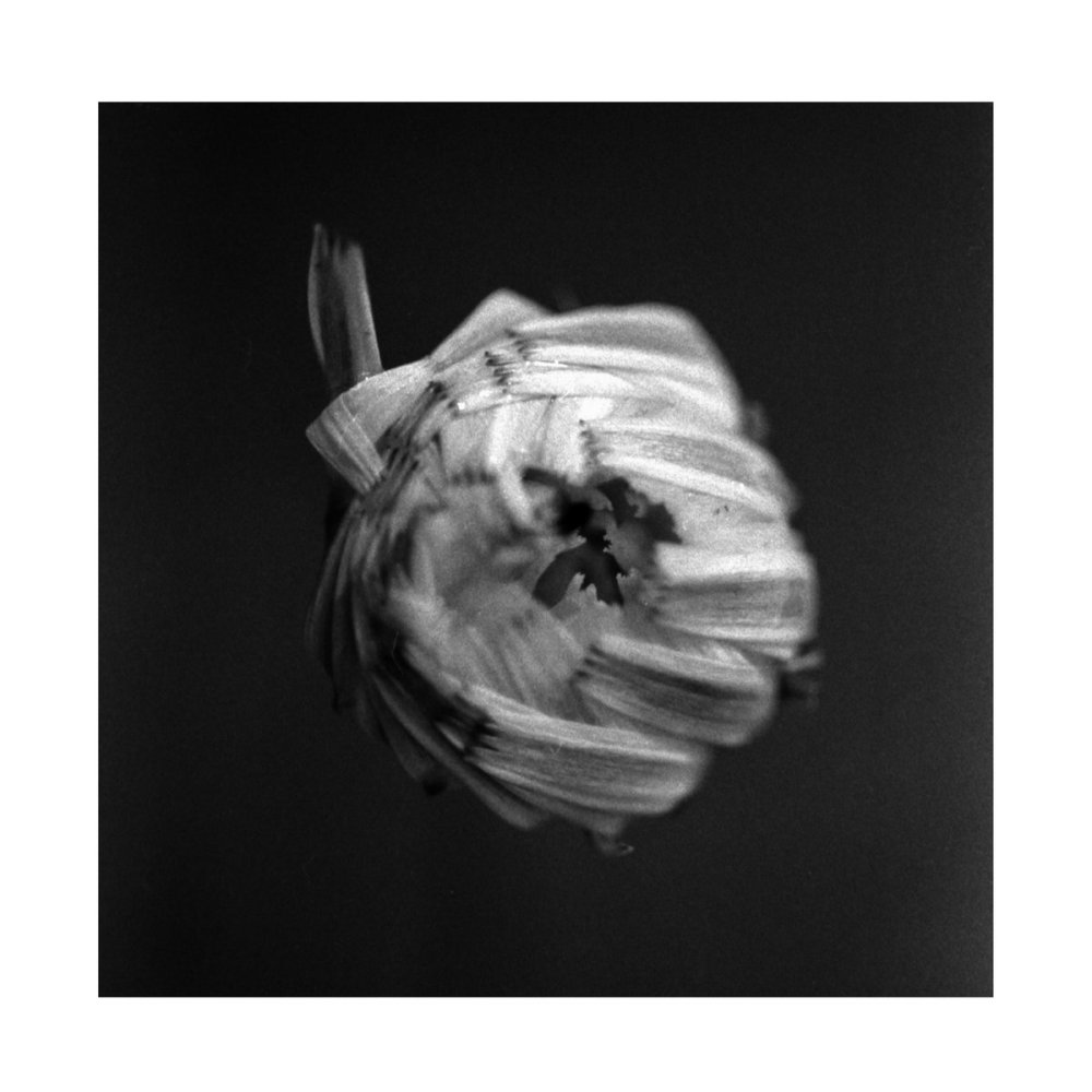 Weekly rundown September 06 –&nbsp;2024