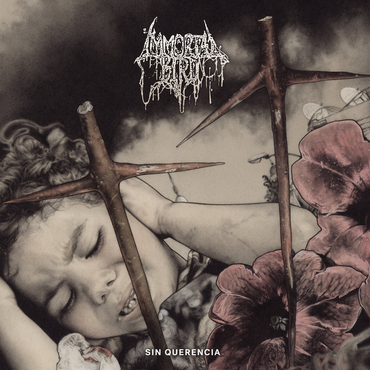 Weekly rundown October 18 –&nbsp;2024