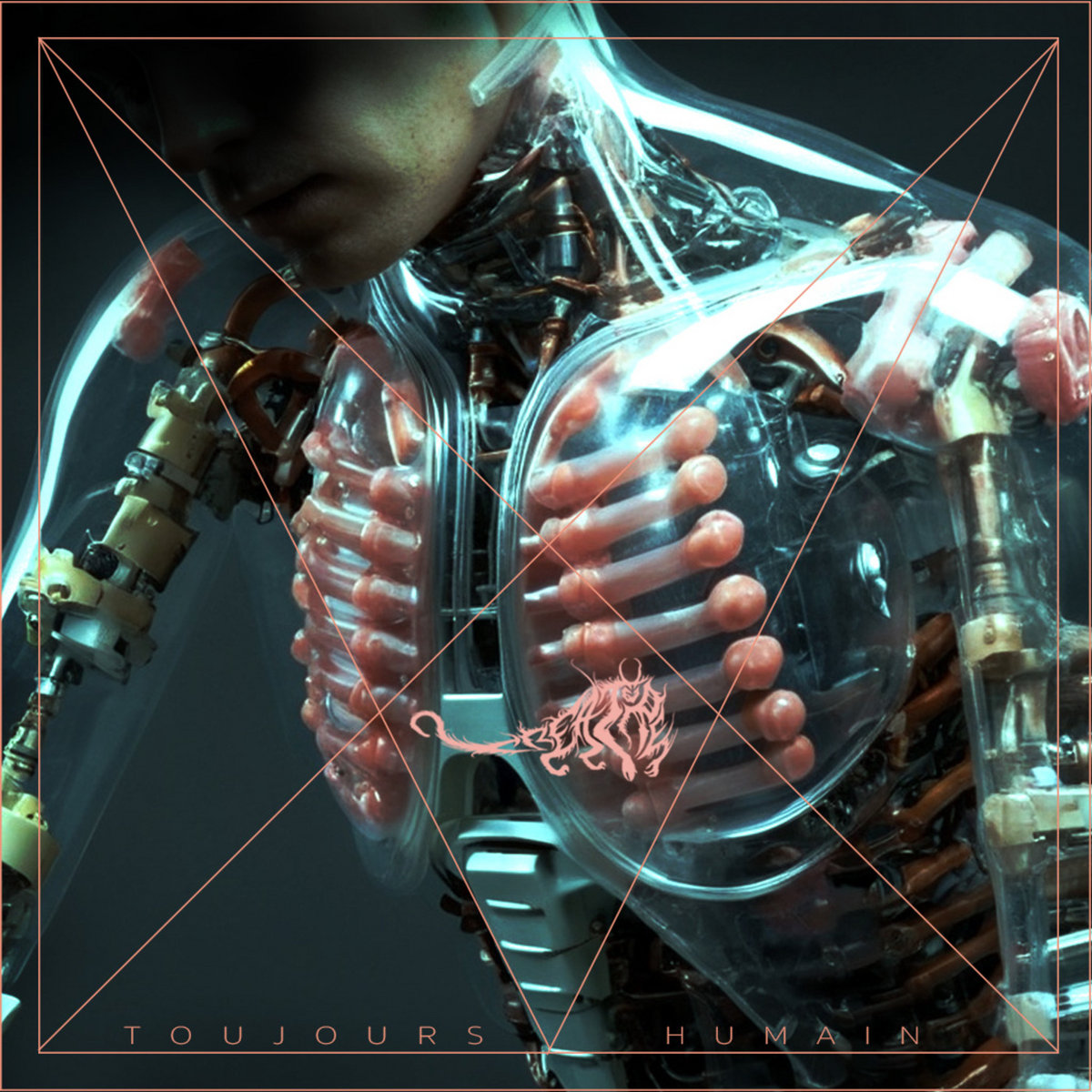 Weekly rundown August 01 –&nbsp;2025